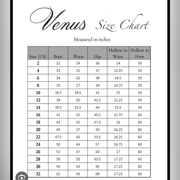 NWT SAMPLE BELLA FORMALS by Venus bridal size 10 Claret red Iridescent chiffon. - Picture 8 of 8